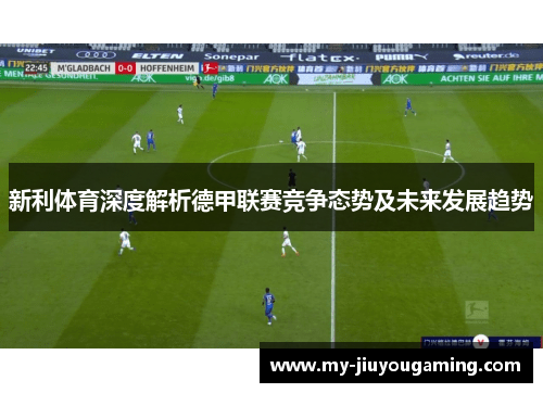 新利体育深度解析德甲联赛竞争态势及未来发展趋势